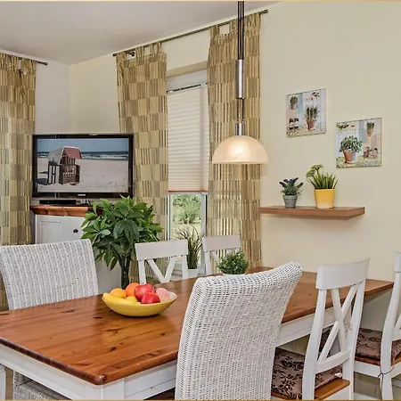 Dhh Angela 2 * Korswandt