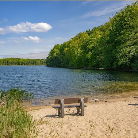 Dhh Angela 2 Korswandt