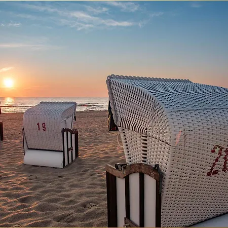 Dhh Angela 2 Korswandt