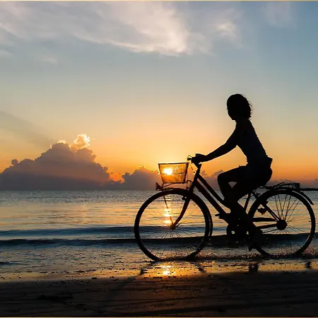 Dhh Angela 2 * Korswandt