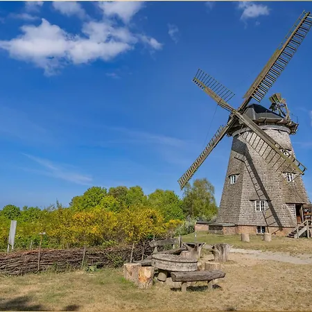 Dhh Angela 2 Korswandt