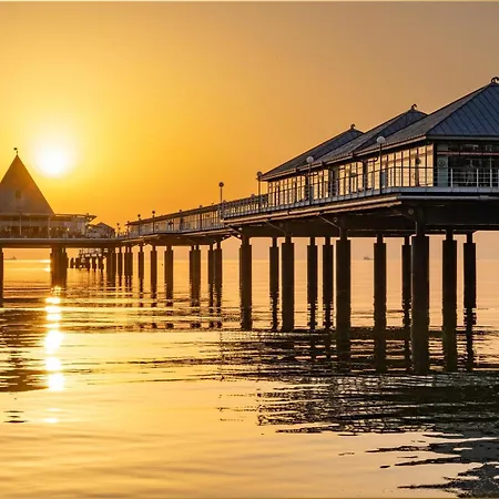 Dhh Angela 2 كورسفانت