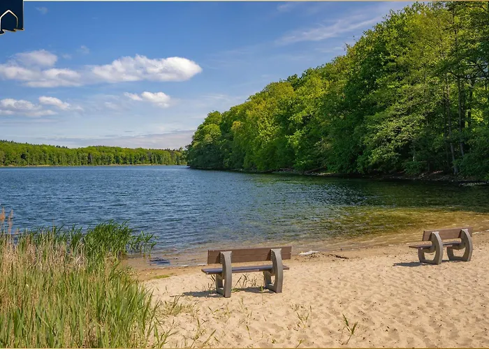 Dhh Angela 2 كورسفانت