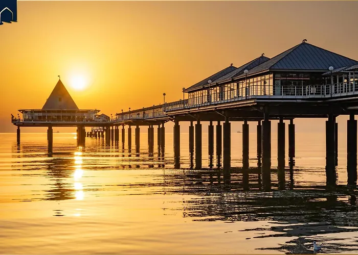 Dhh Angela 2 كورسفانت